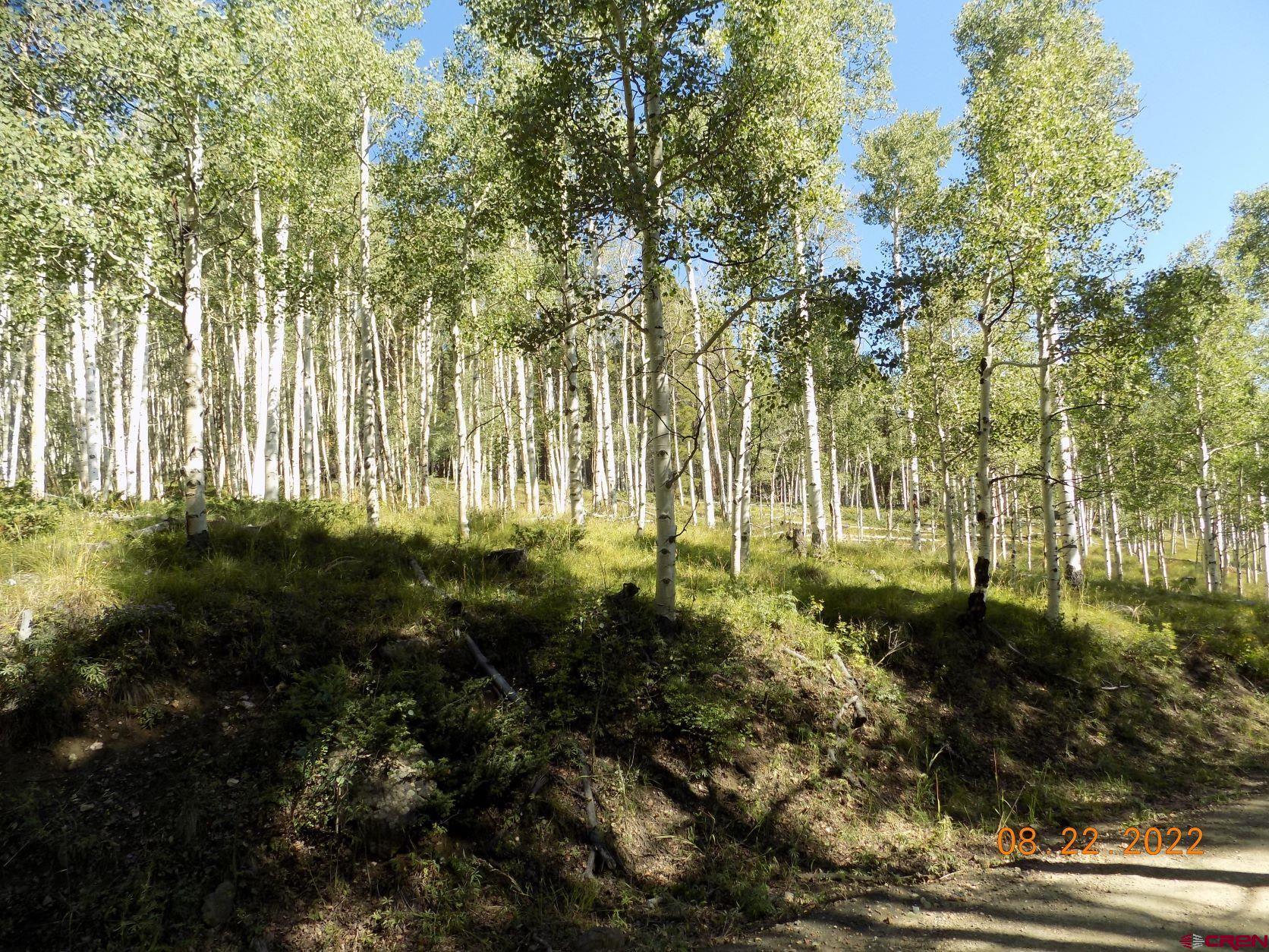 763 Rd Pitkin Co 81241 Road Parlin, CO 81239 - Photo 2 of 8 a view of outdoor space and yard