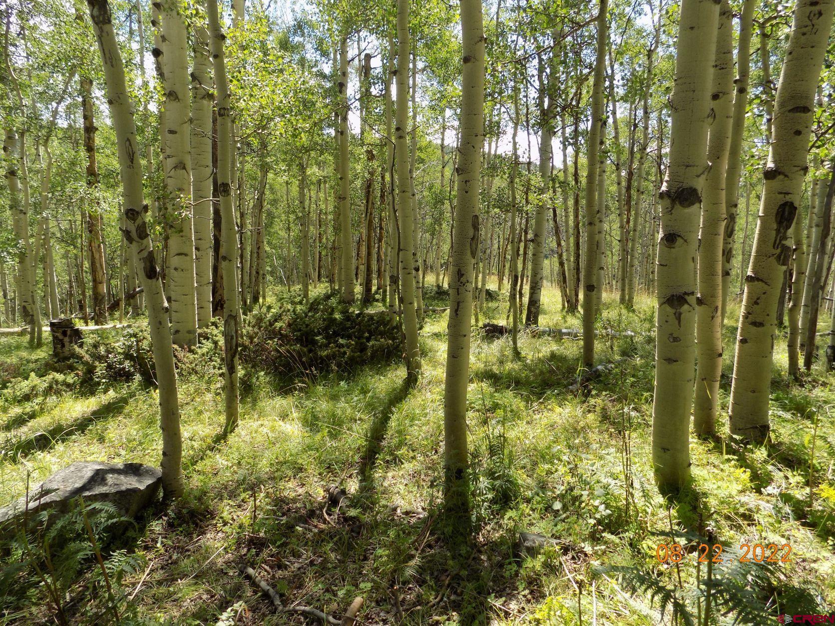 763 Rd Pitkin Co 81241 Road Parlin, CO 81239 - Photo 3 of 8