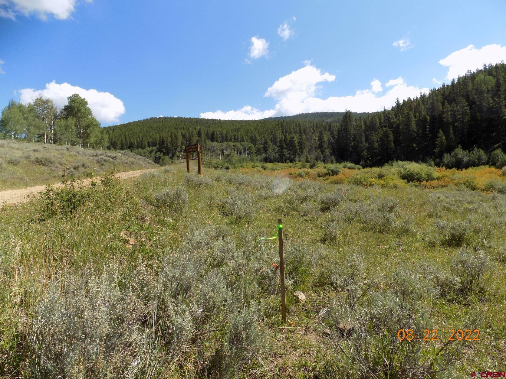 763 Rd Pitkin Co 81241 Road Parlin, CO 81239 - Photo 4 of 8 a view of a yard