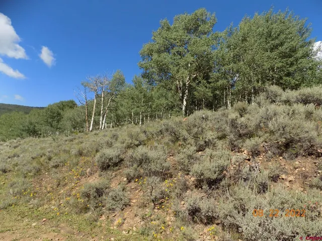 a view of painting on the wall