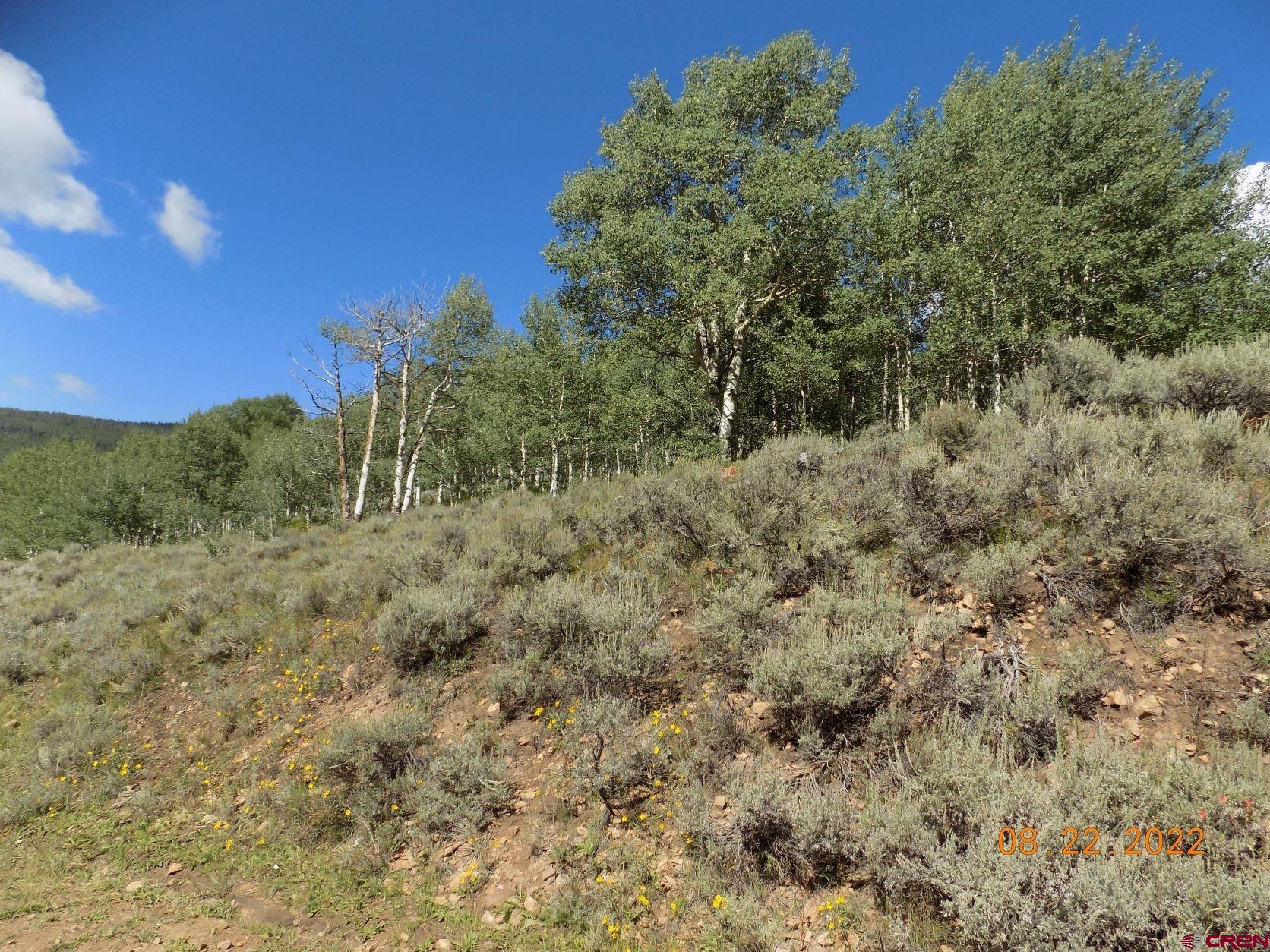 763 Rd Pitkin Co 81241 Road Parlin, CO 81239 - Photo 6 of 8 a view of a forest with trees in the background