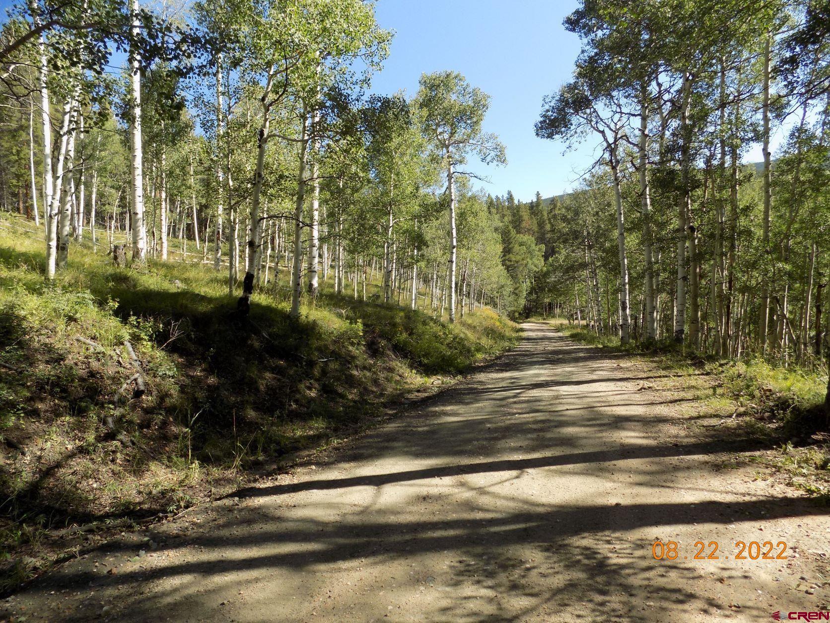 763 Rd Pitkin Co 81241 Road Parlin, CO 81239 - Photo 7 of 8