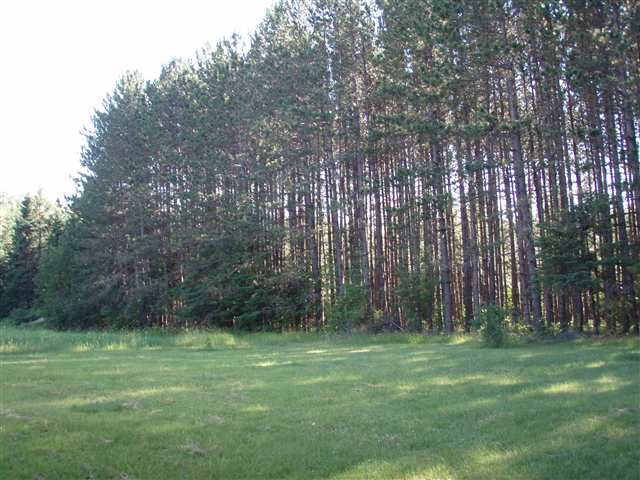 Xxx Toivonen Road Two Harbors, MN 55616 - Photo 5 of 6 Gallery Image 5