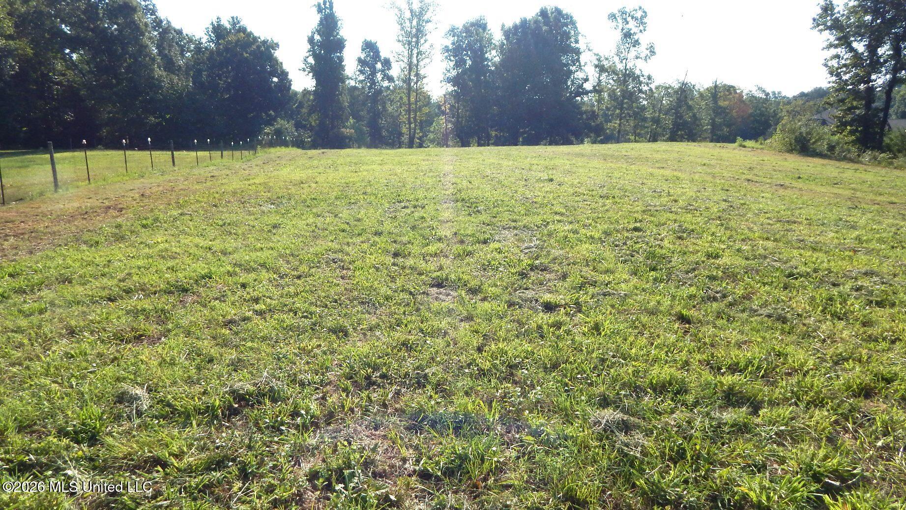 400 Arkabutla Dam Road Coldwater, MS 38618 - Photo 1 of 15 DSCN7558