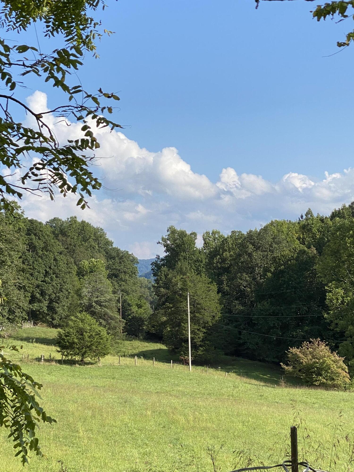 902 Montgomery Road Tazewell, TN 37879 - Photo 54 of 59 IMG_1692