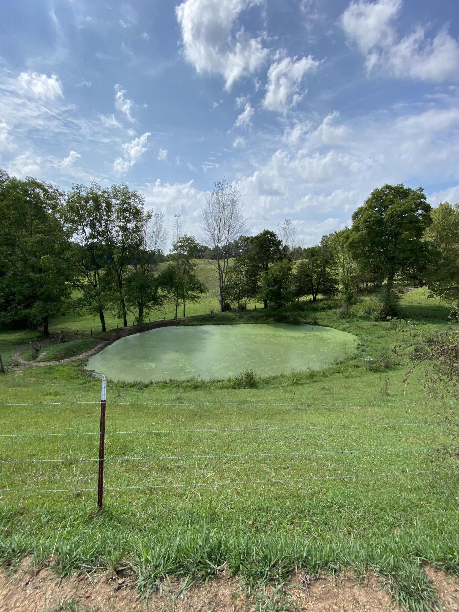 902 Montgomery Road Tazewell, TN 37879 - Photo 8 of 59 IMG_1543