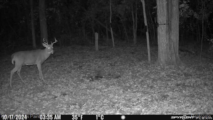 2942 Tatham Road Saginaw, MI 48601 - Photo 58 of 59 IMG_4259.JPG
