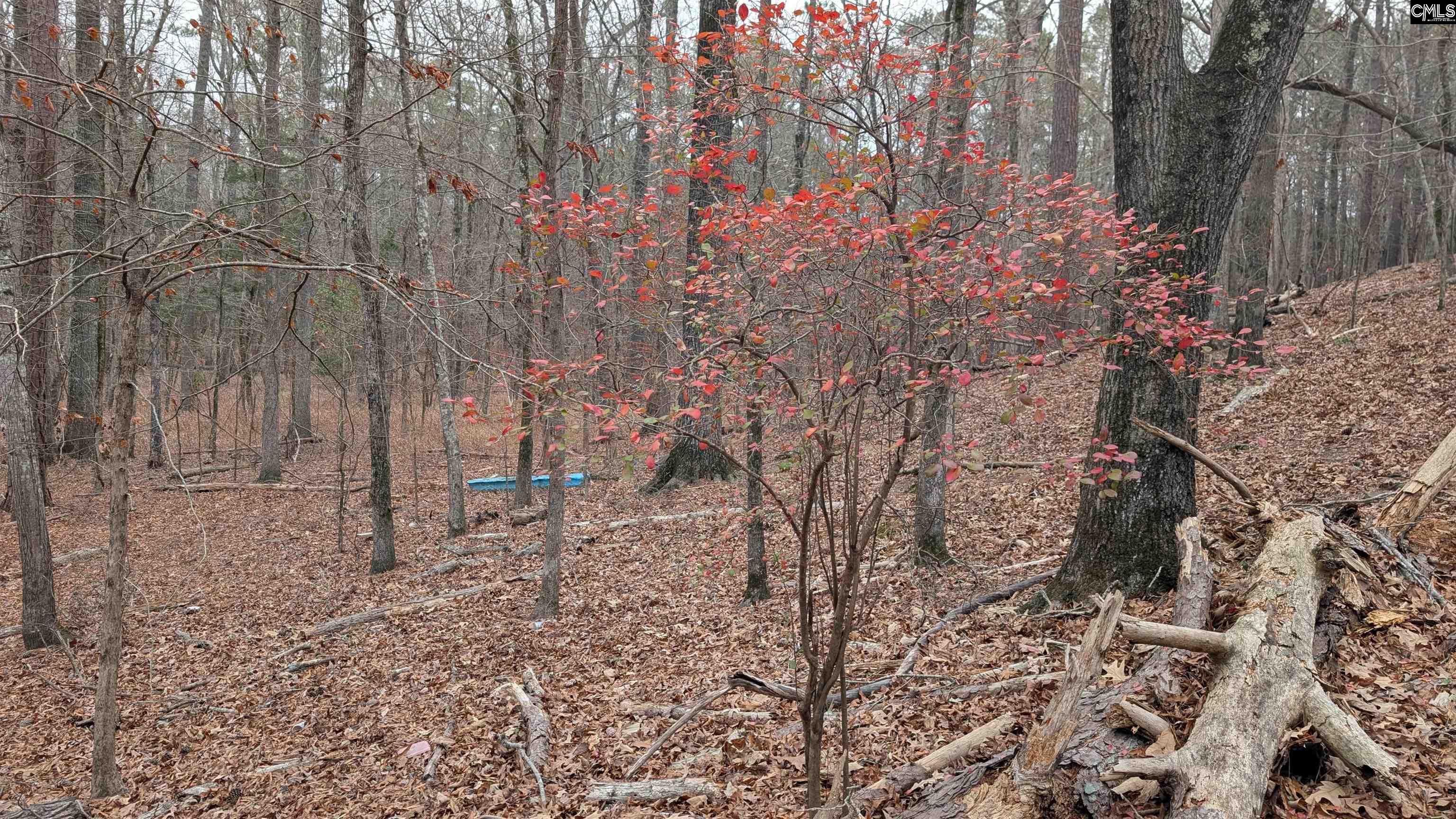 Lots B & C Lots B & C Miller Road Camden, SC 29020 - Photo 22 of 36