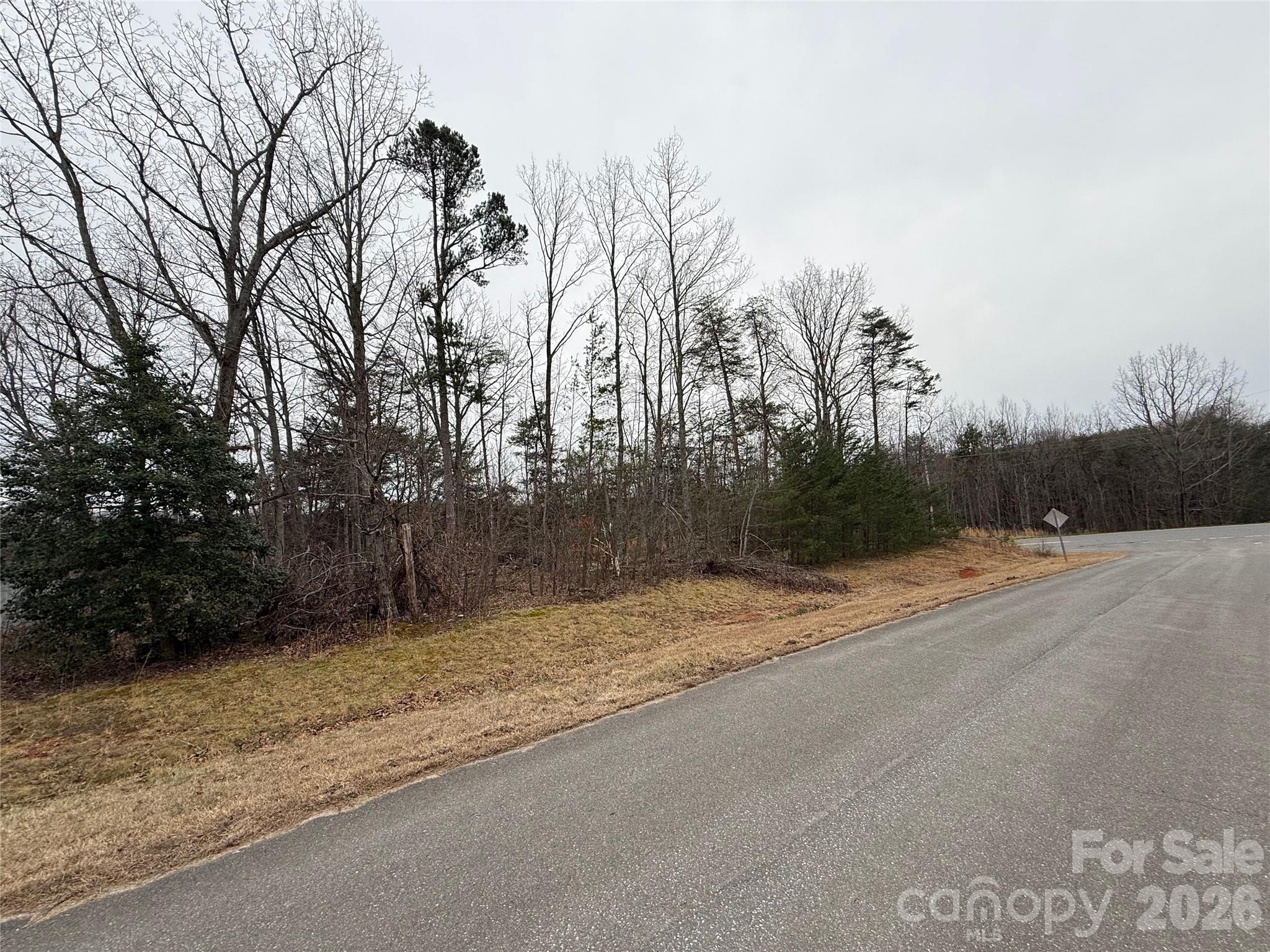 6501 Casar Road Casar, NC 28020 - Photo 29 of 45 a view of a backyard of a house