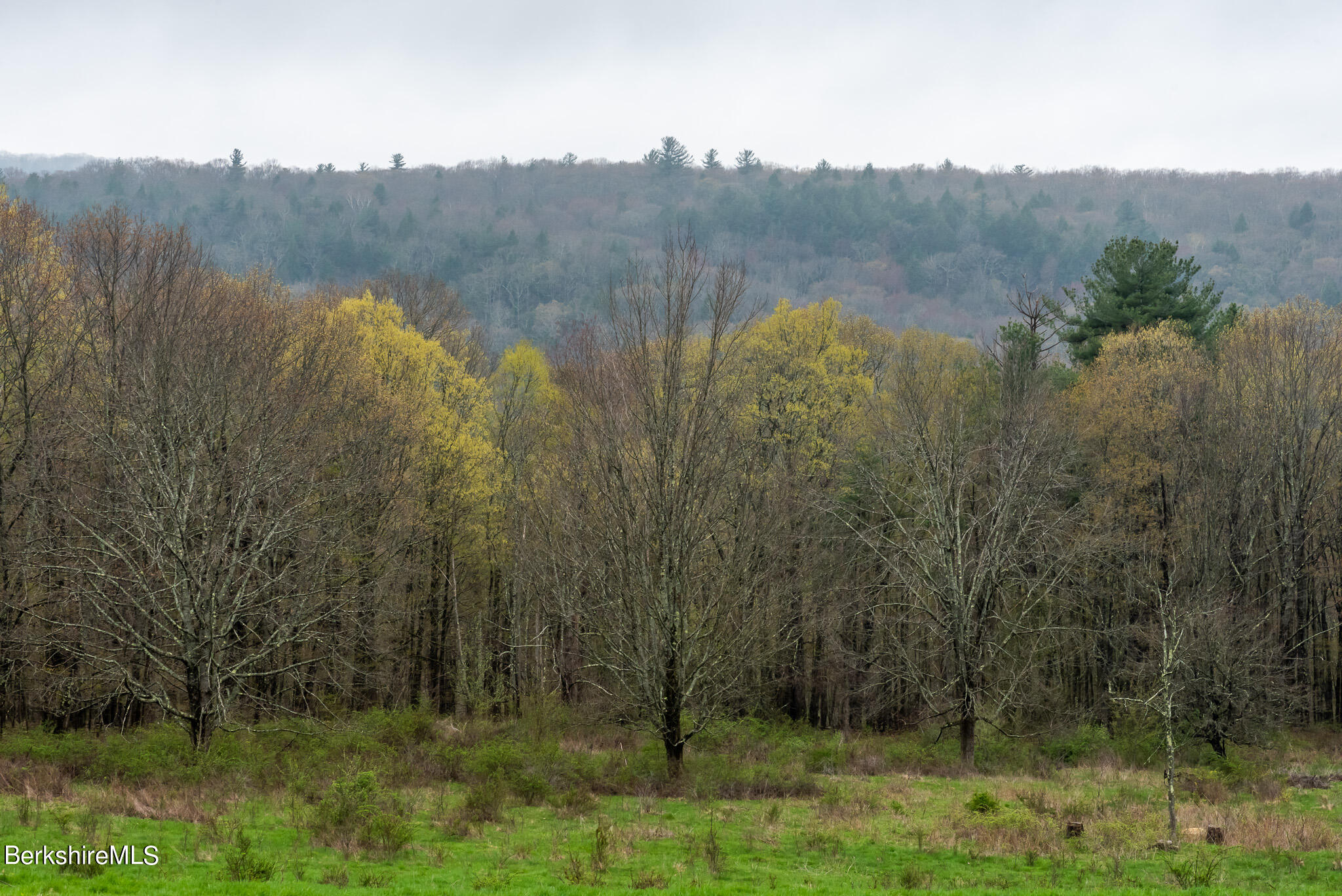 206 Blue Hill Road Great Barrington, MA 01230 - Photo 22 of 27 a view of lake with green space