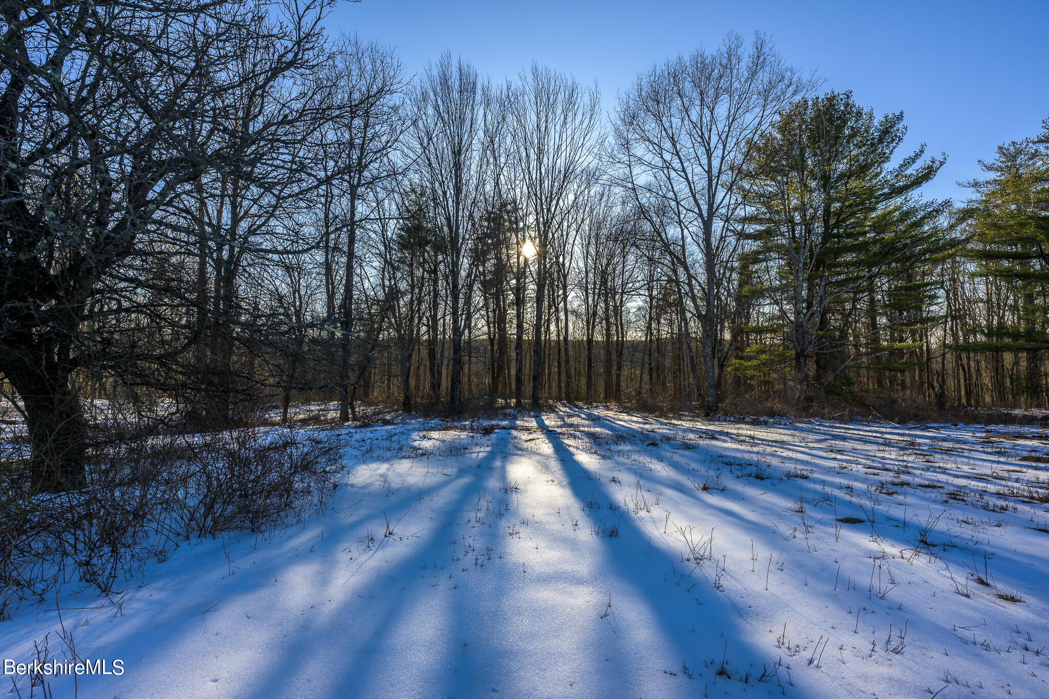 206 Blue Hill Road Great Barrington, MA 01230 - Photo 24 of 27 a view of backyard with green space