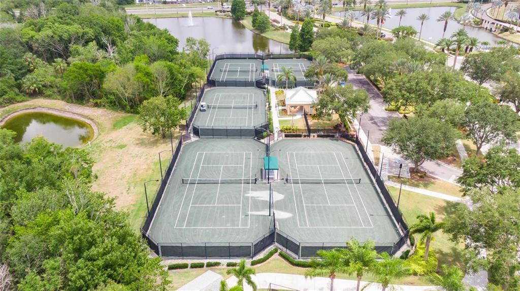 5536 Luminar Pointe Lane Apollo Beach, FL 33572 - Photo 88 of 96