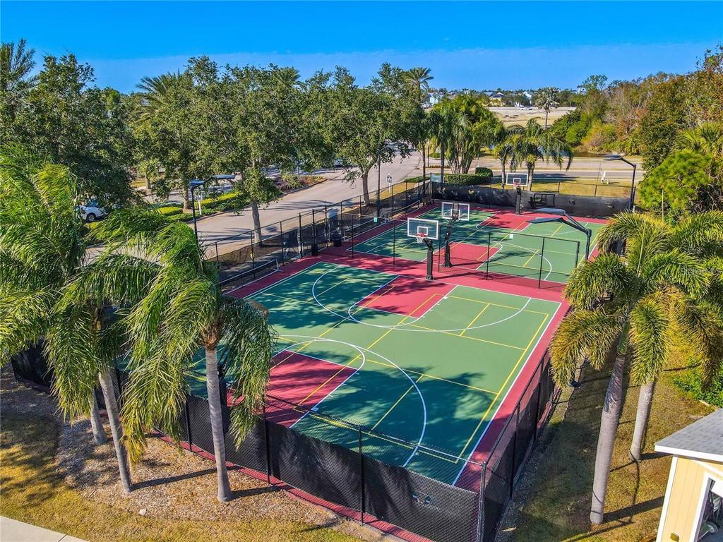 5536 Luminar Pointe Lane Apollo Beach, FL 33572 - Photo 90 of 96