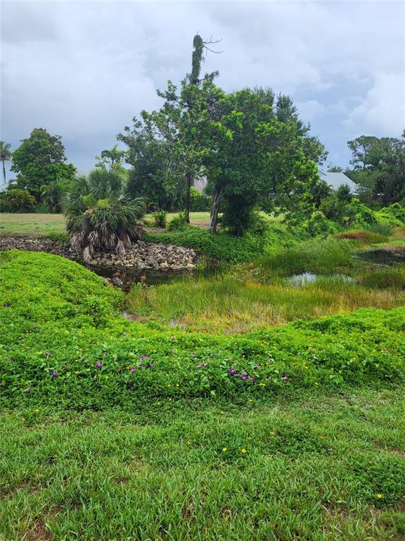 482 Pendleton Place Venice, FL 34292 - Photo 6 of 54 a view of a garden with a lake