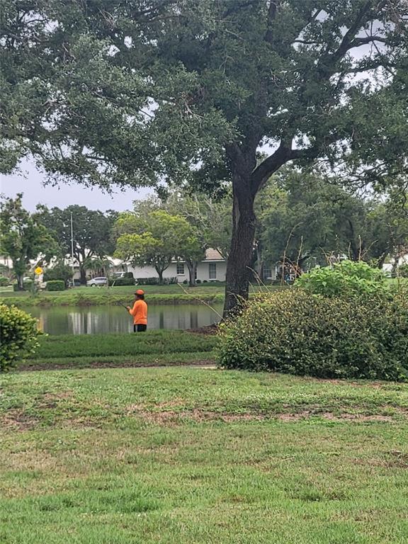 482 Pendleton Place Venice, FL 34292 - Photo 7 of 54 a view of outdoor space and yard