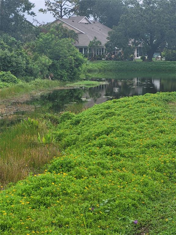 482 Pendleton Place Venice, FL 34292 - Photo 8 of 54 a view of a lake with a big yard and large trees