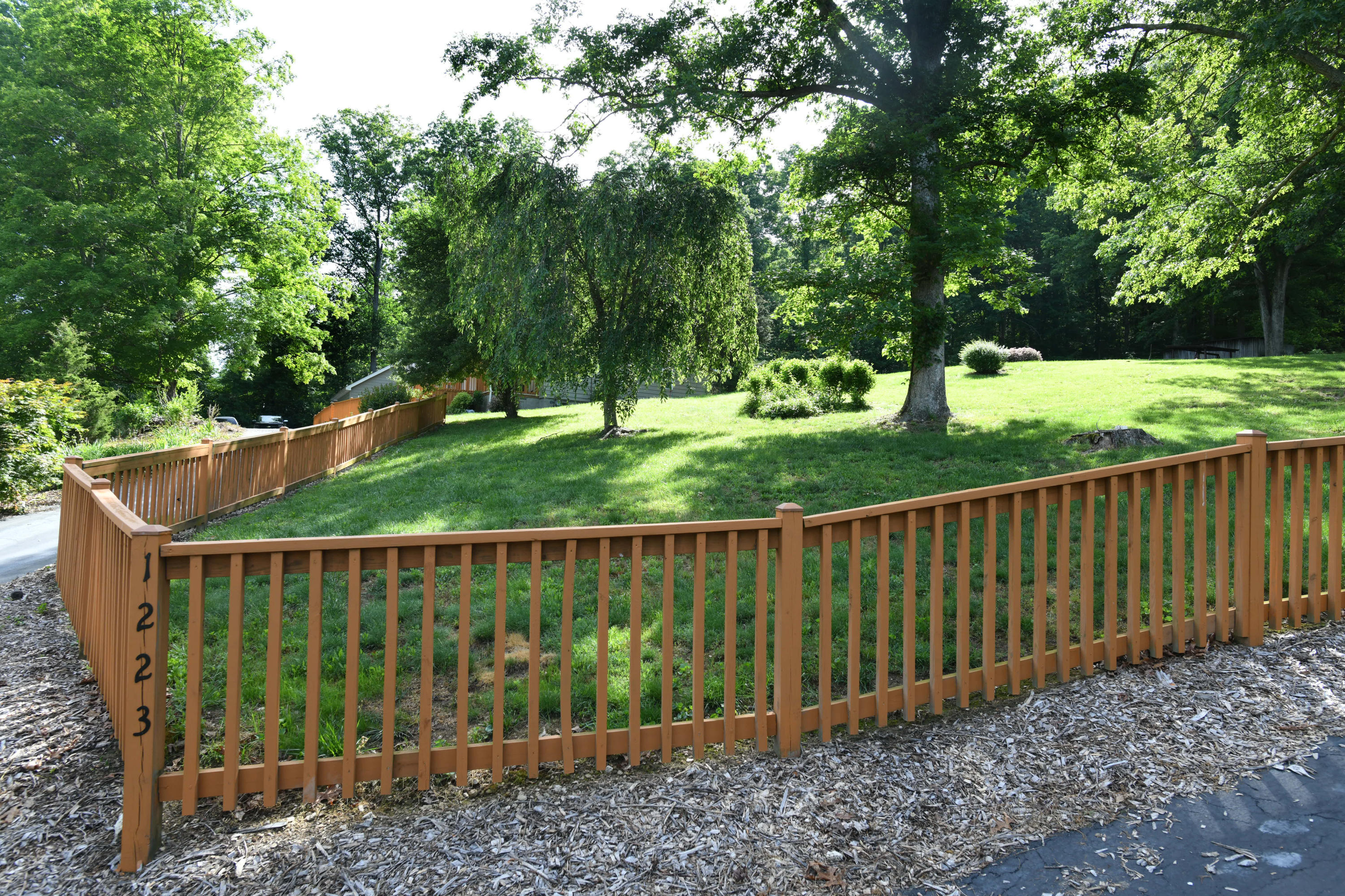 1223 Foust Carney Road Powell, TN 37849 - Photo 22 of 27 Yard