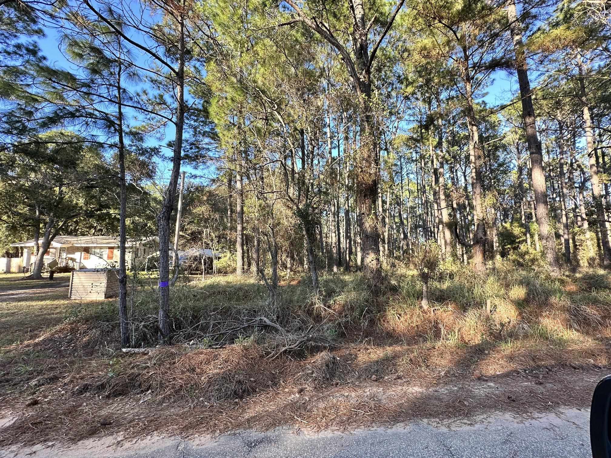 12153 Kenner Road Foley, AL 36535 - Photo 3 of 8