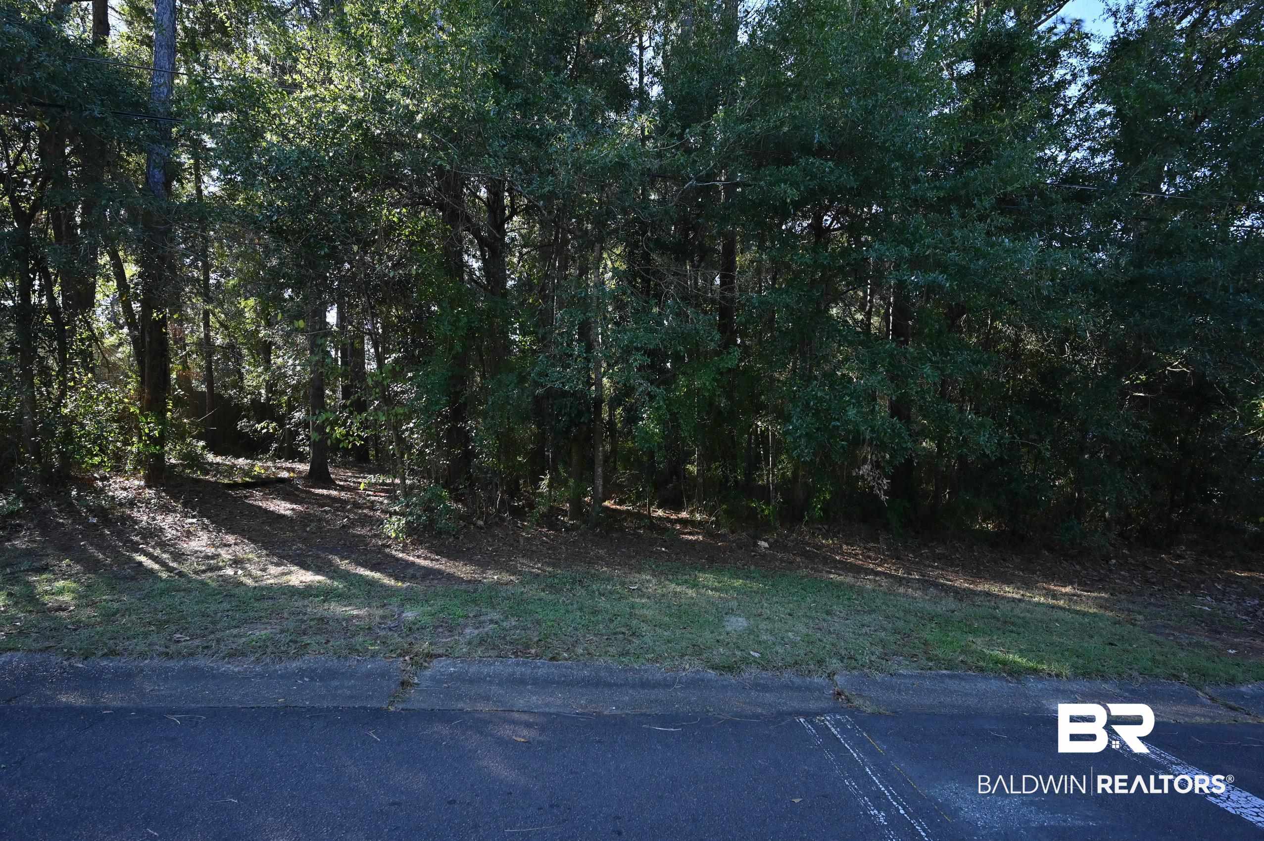 Lot 2 Rosa Avenue Fairhope, AL 36532 - Photo 3 of 10 View of road