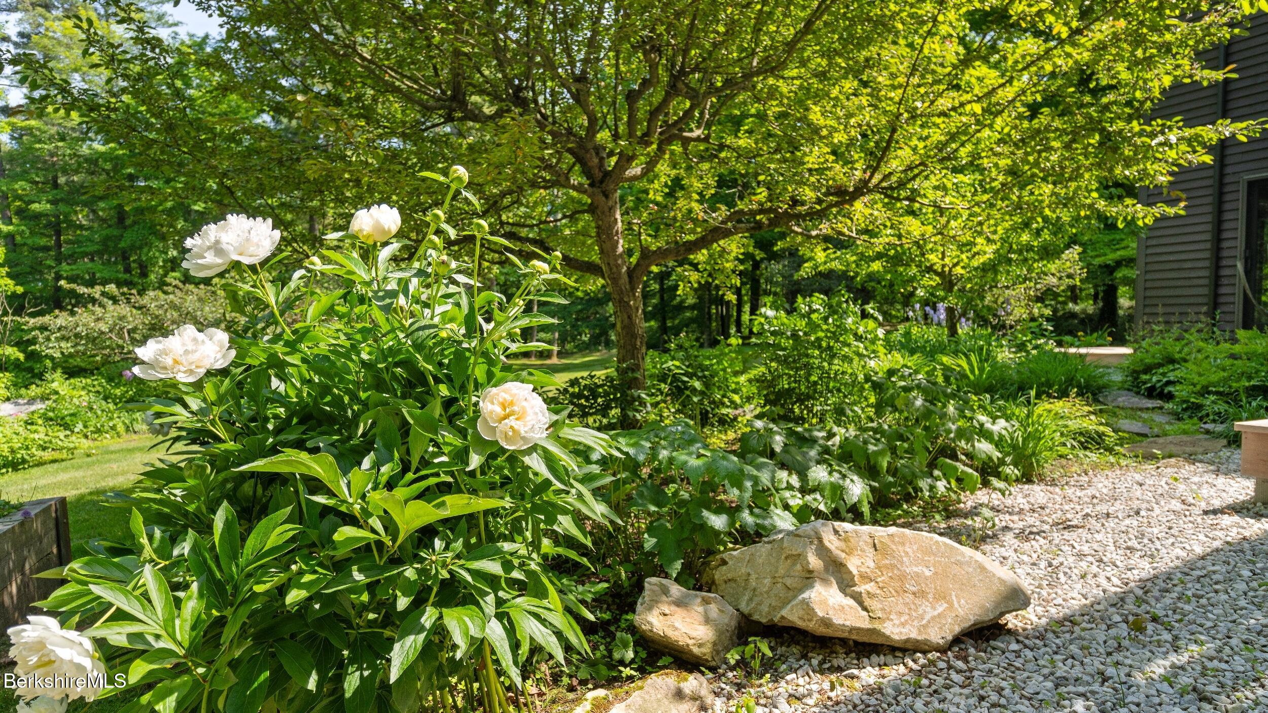 173 Hillsdale Road Egremont, MA 01230 - Photo 31 of 82 a view of a plant in a garden