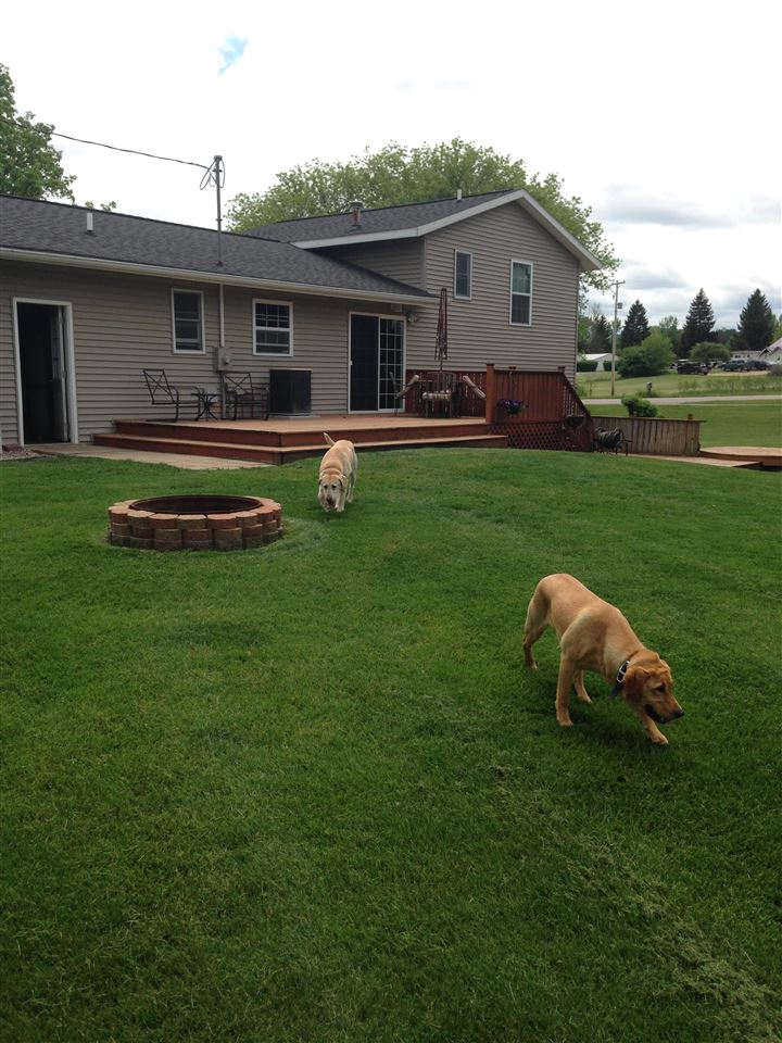 5960 Grant Road Mount Pleasant, MI 48858 - Photo 20 of 32 1831435-19.JPG