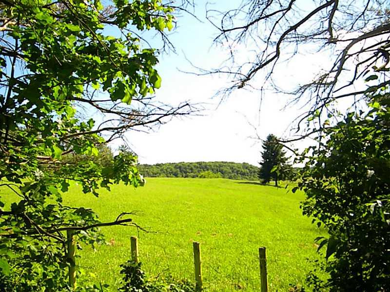 381 Smail Road Leechburg, PA 15656 - Photo 6 of 24 Land. Take a evening stroll on the upper part of land and enjoy the view