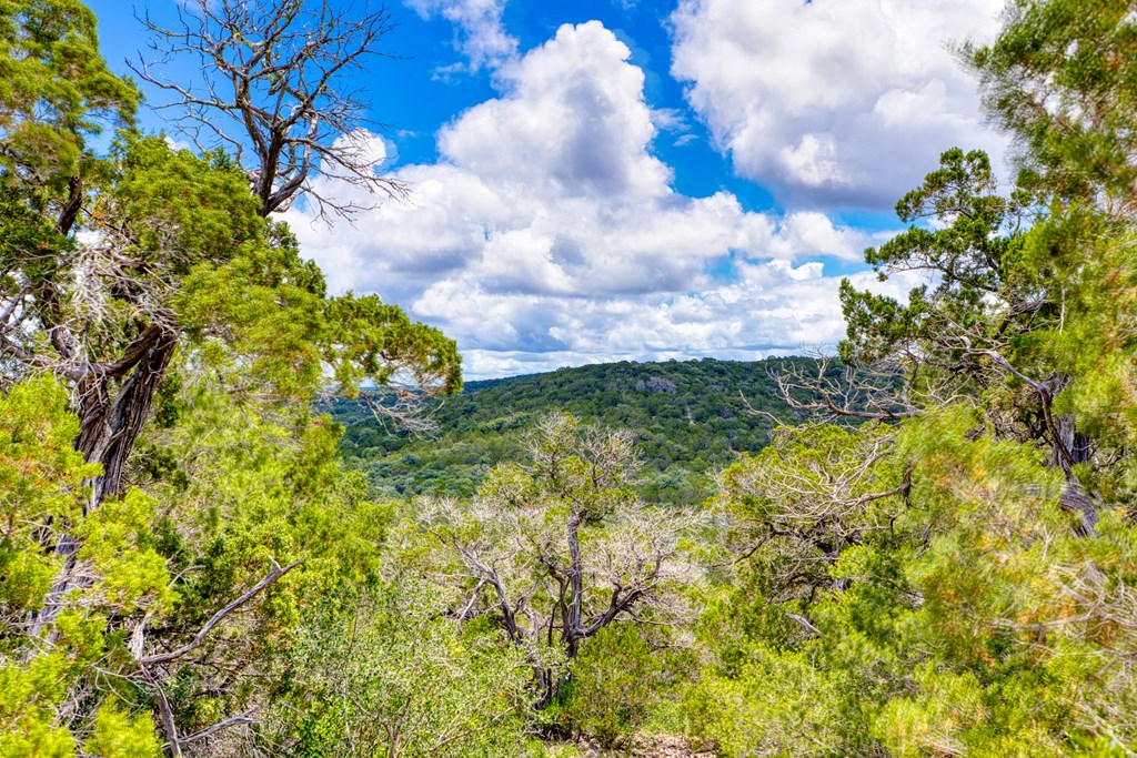 1702 Pinon Loop East Camp Wood, TX 78833 - Photo 18 of 19
