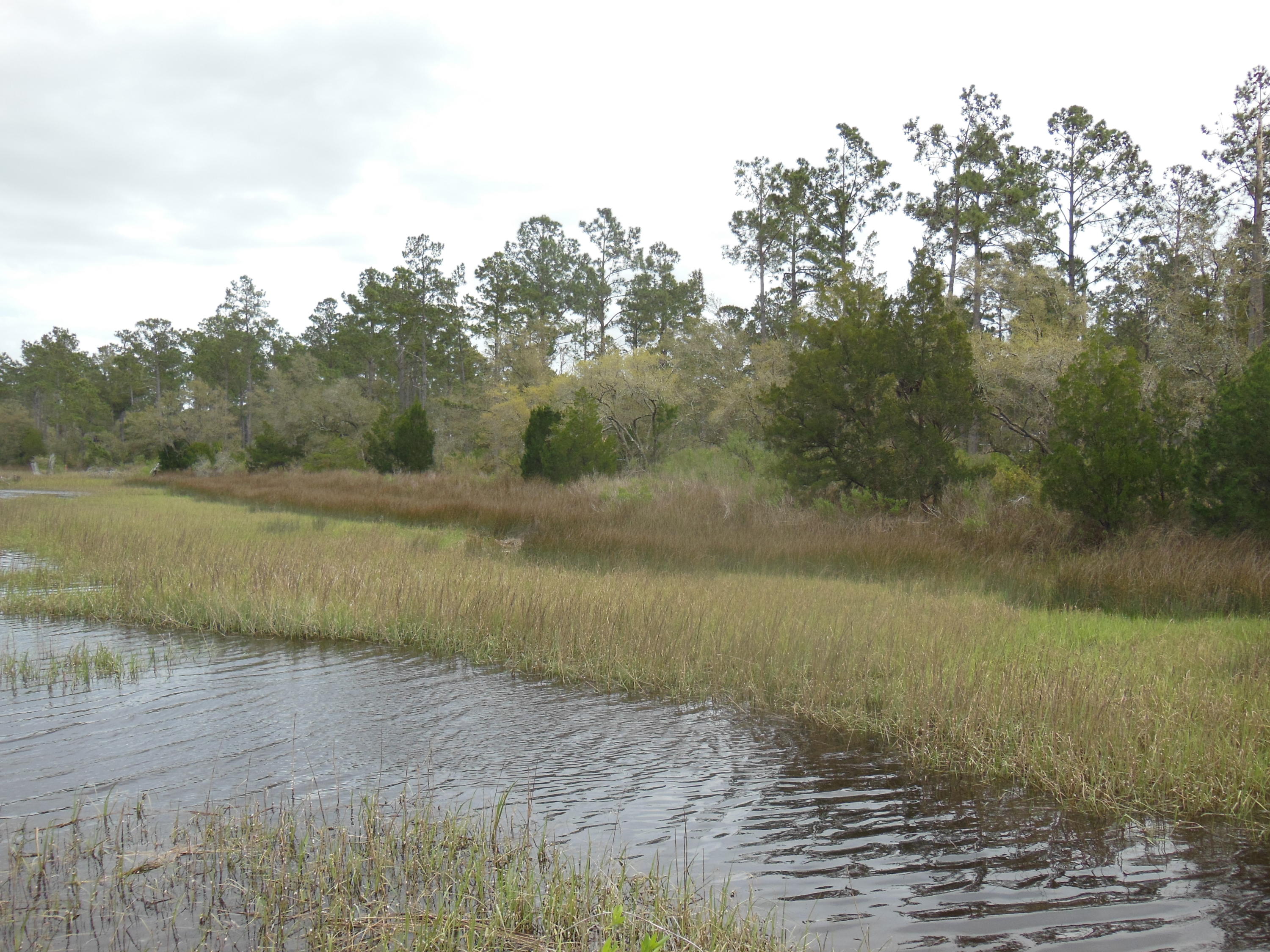 2 Broadmarsh McClellanville, SC 29458 - Photo 3 of 5 Broadmarsh 3-16 (6)