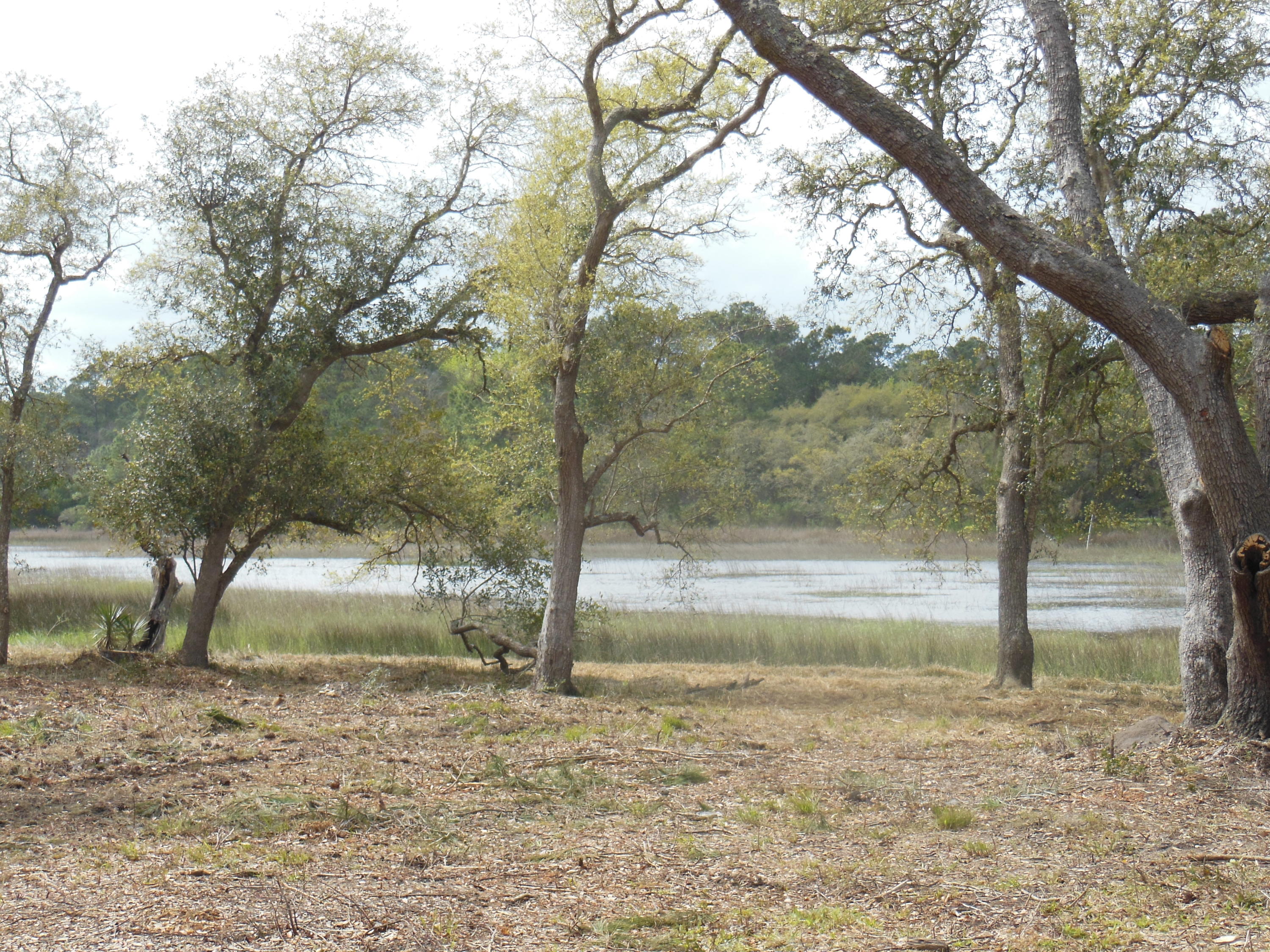 2 Broadmarsh McClellanville, SC 29458 - Photo 4 of 5 Cleared Lot #7