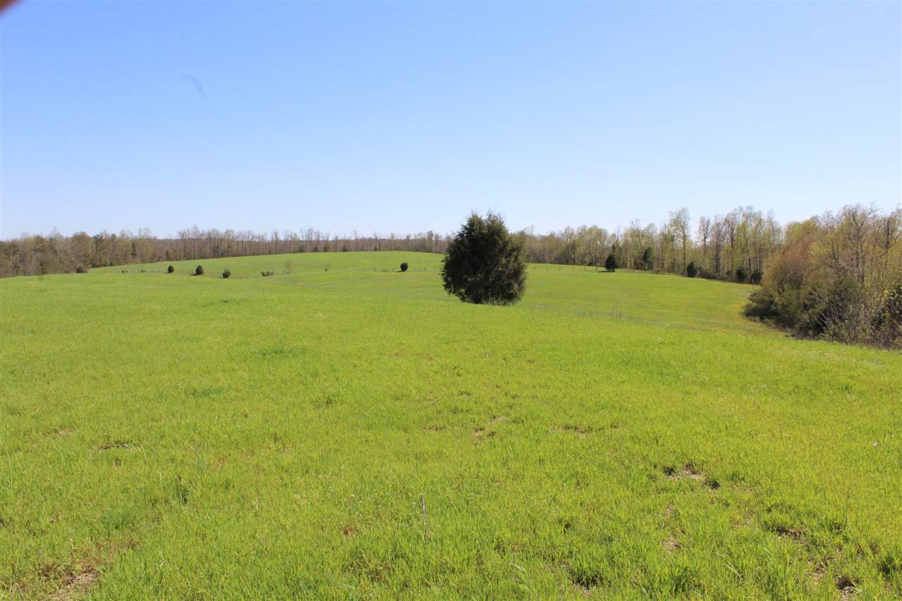 83 Long Fall Road Cub Run, KY 42729 - Photo 21 of 32 Gallery Image 21