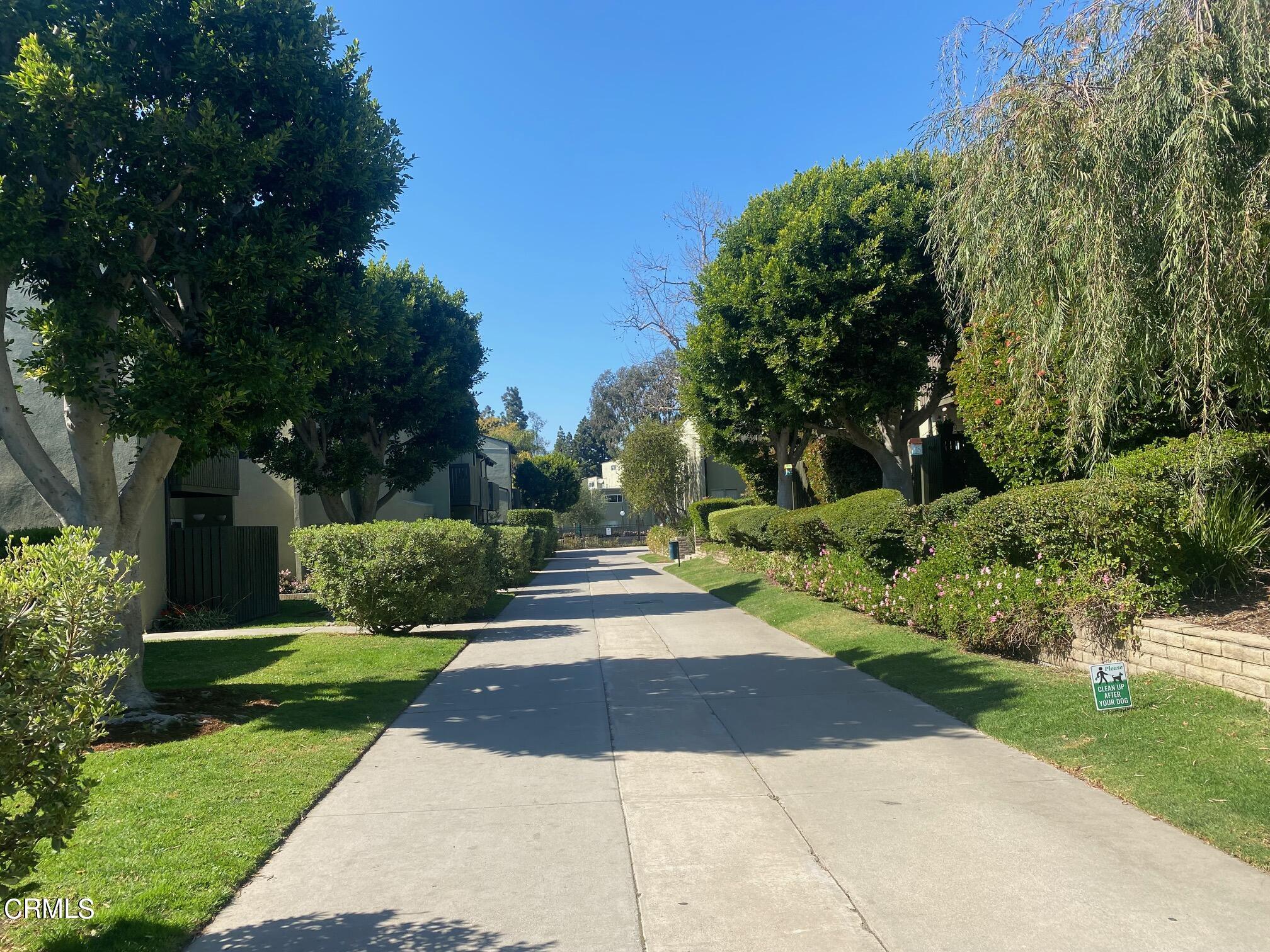 4828 Hollow Corner Road, Unit 293 Culver City, CA 90230 - Photo 23 of 24 a view of a park with plants and trees