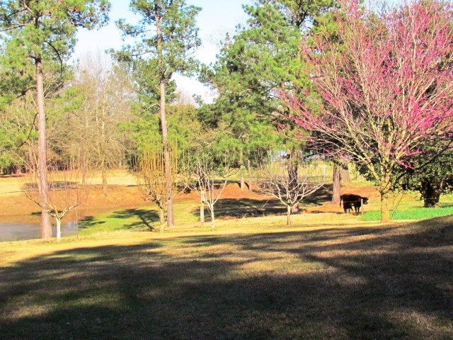 2779 Honey Ford Road Denmark, SC 29042 - Photo 24 of 31