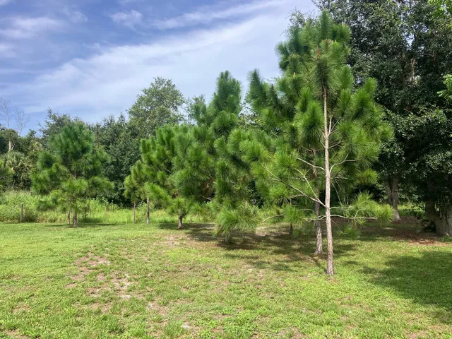 $179,000 | Tbd Southwest Famel Boulevard, Indiantown, FL 34956