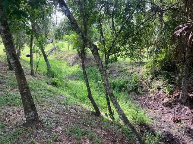 $179,000 | Tbd Southwest Famel Boulevard, Indiantown, FL 34956