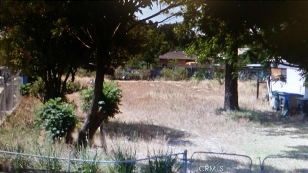 0 12th Riverside Ca Riverside, CA 92507 - Photo 1 of 1 a picture of trees