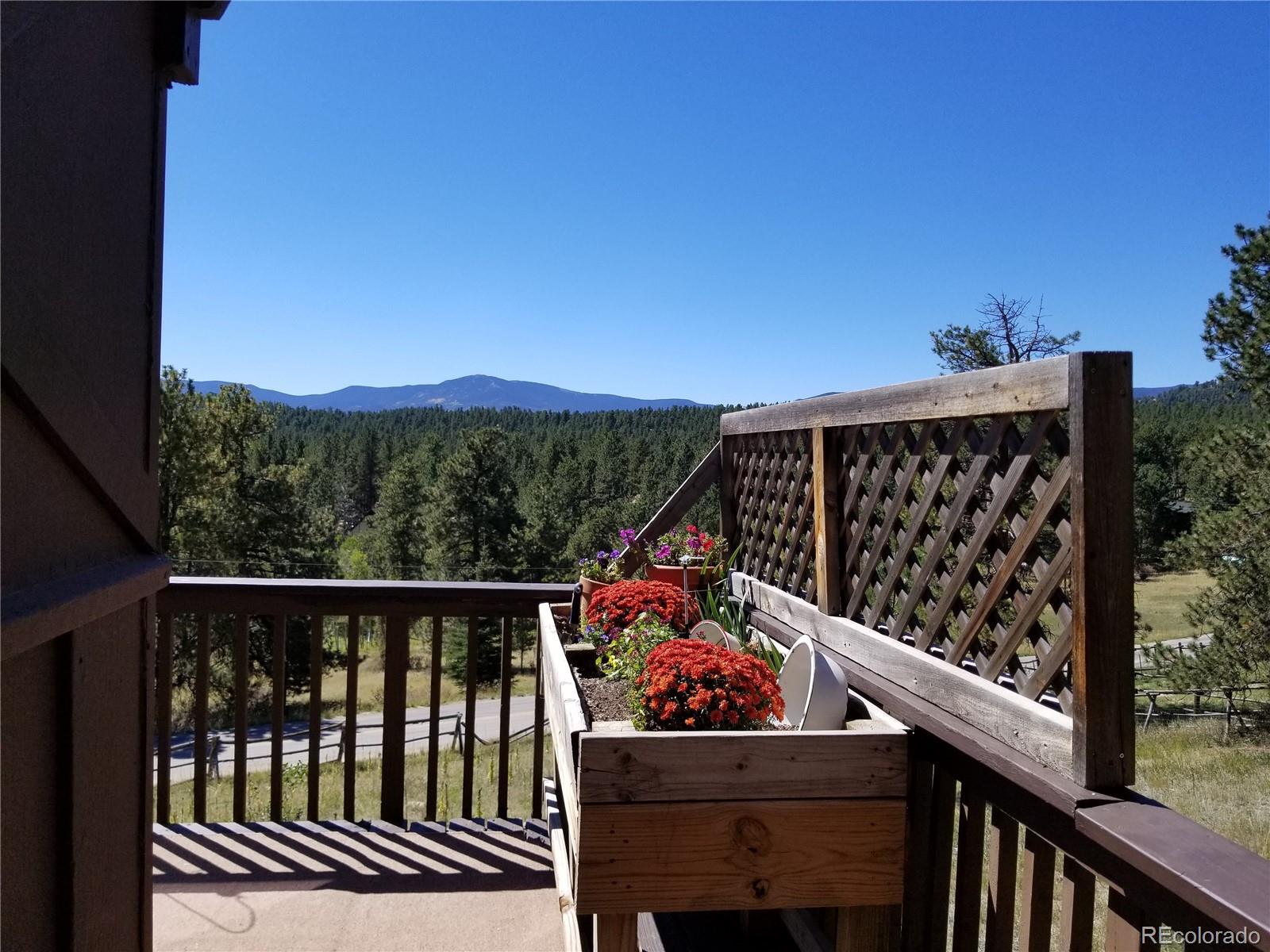1906 Roland Drive Bailey, CO 80421 - Photo 6 of 29 Gallery Image 6