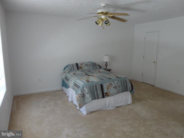 25383 Independence Road Unionville, VA 22567 - Photo 16 of 25 Bedroom