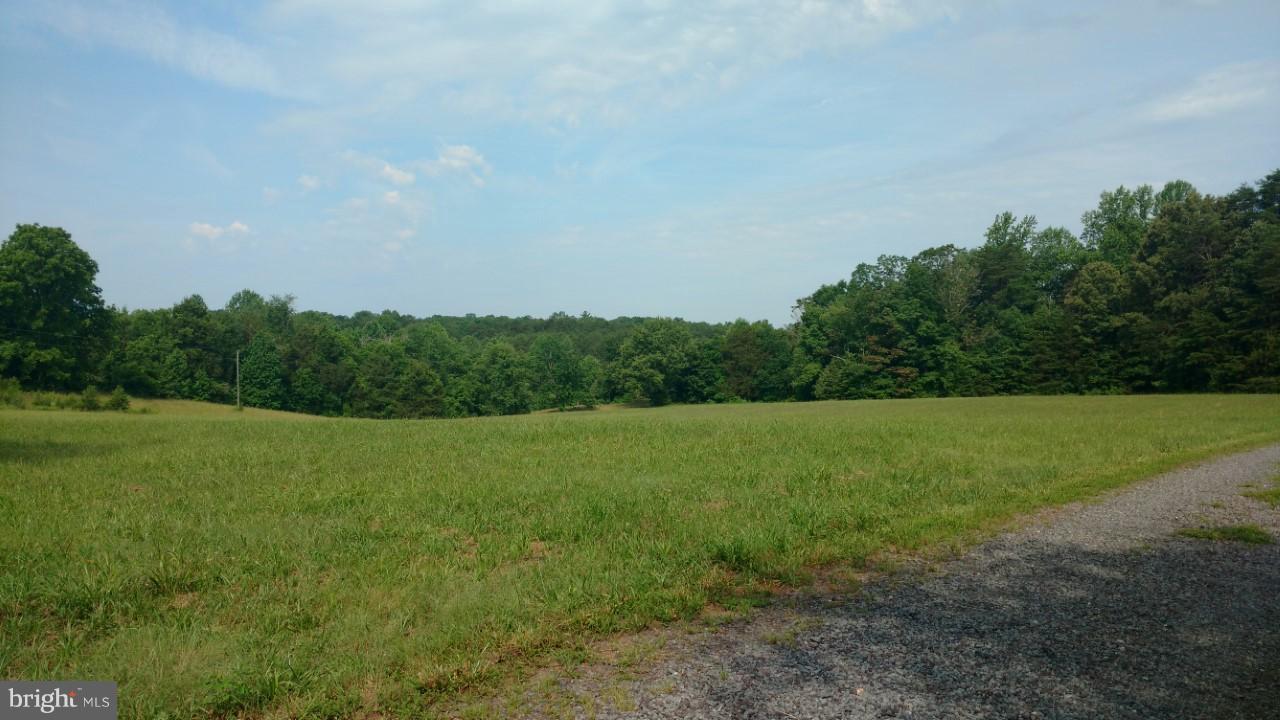 25383 Independence Road Unionville, VA 22567 - Photo 7 of 25 Exterior (General)