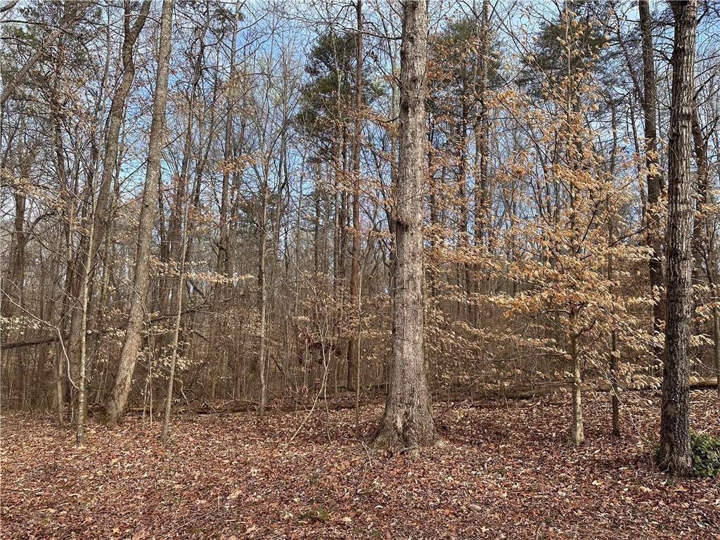 6785 Anderson Lake Road Dawsonville, GA 30534 - Photo 11 of 11 a view of a dry yard with trees and bushes