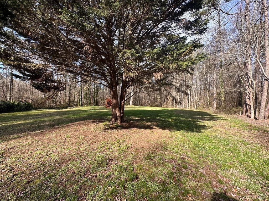 6785 Anderson Lake Road Dawsonville, GA 30534 - Photo 2 of 11 a view of yard with tree