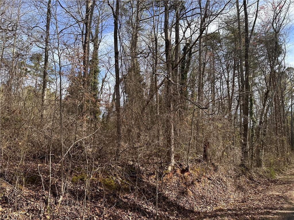 6785 Anderson Lake Road Dawsonville, GA 30534 - Photo 3 of 11 a view of forest