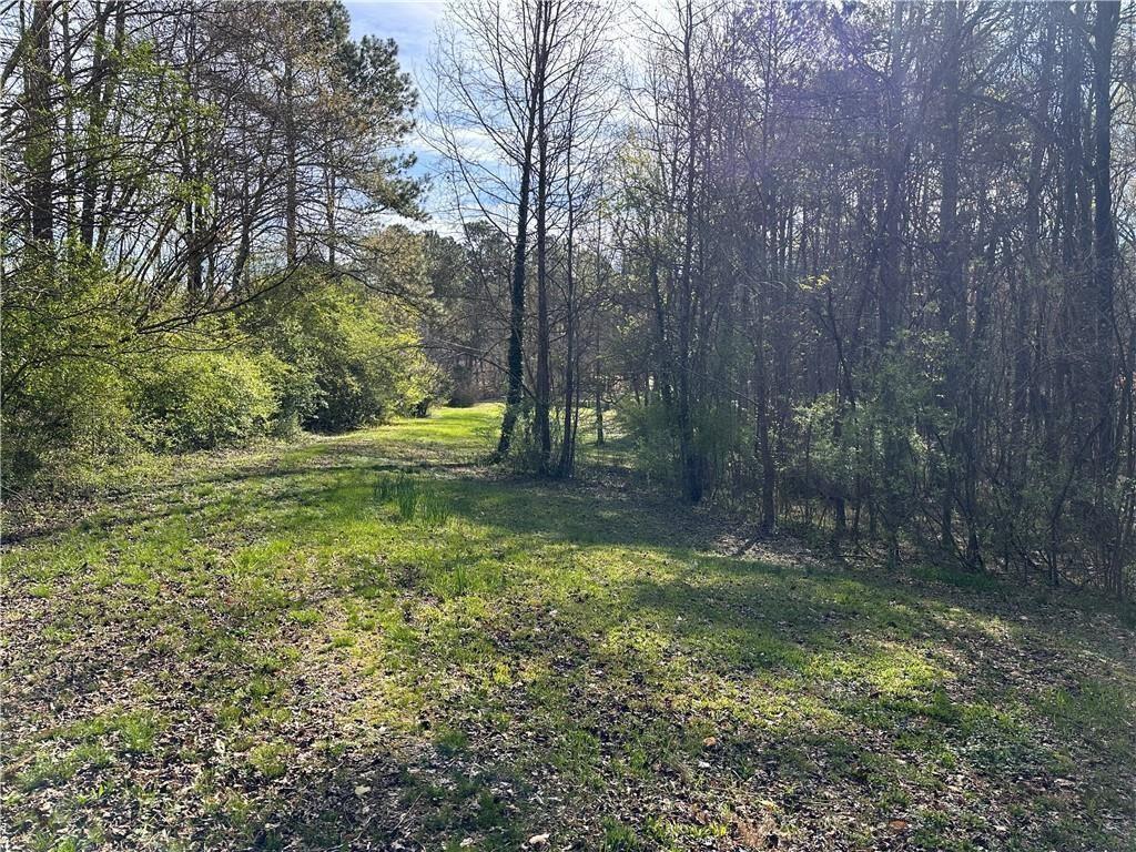 6785 Anderson Lake Road Dawsonville, GA 30534 - Photo 7 of 11 a view of outdoor space and yard