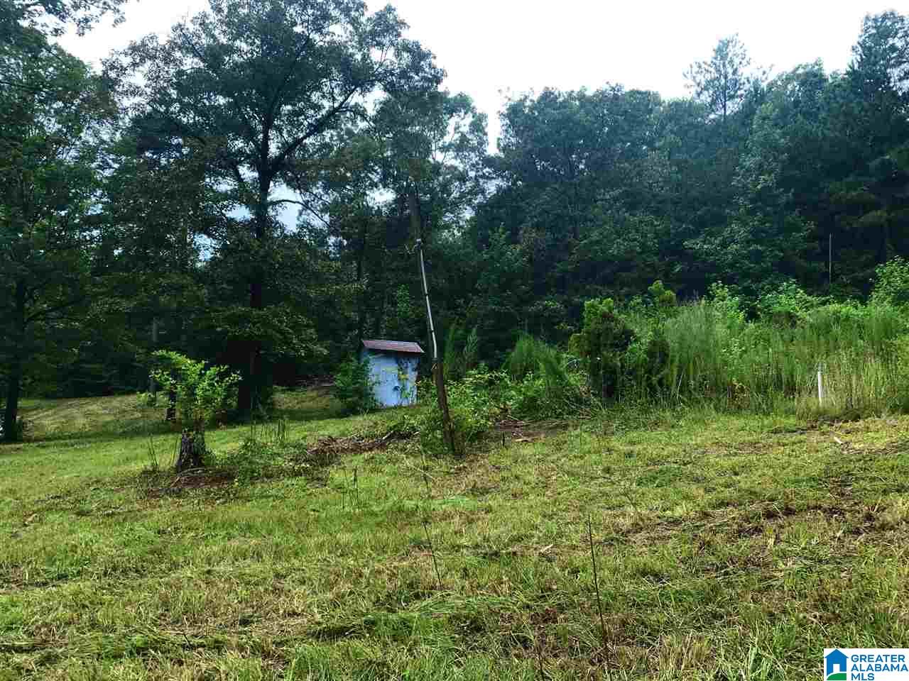 20855 Highway 11 Steele, AL 35987 - Photo 5 of 10