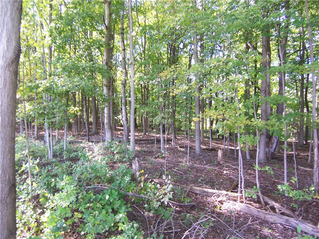 0 South Lake Road Corfu, NY 14036 - Photo 1 of 1