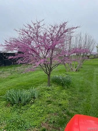 $419,000 | 10520 Vonder Haar Lane, Breese, IL 62230