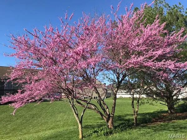 $419,000 | 10520 Vonder Haar Lane, Breese, IL 62230