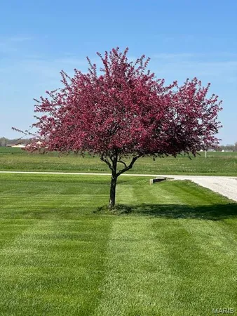 $419,000 | 10520 Vonder Haar Lane, Breese, IL 62230