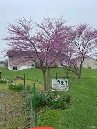$419,000 | 10520 Vonder Haar Lane, Breese, IL 62230