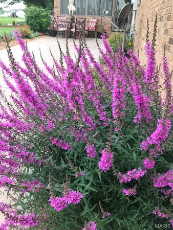 $419,000 | 10520 Vonder Haar Lane, Breese, IL 62230