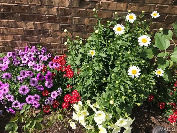 $419,000 | 10520 Vonder Haar Lane, Breese, IL 62230